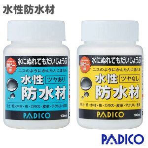 h c cȂ pWR PADICO h h zr[p jX  NA o  Sy ˂