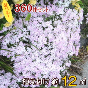 VoUNiōj@Ղ360Zbgcyi킪IׂIzyz i60×6Ij