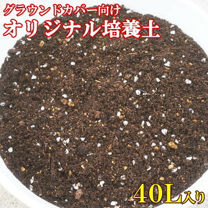 OEhJo[|{yy40LzXnEXłp̃IWiuh