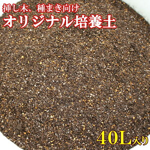 }؁A܂|{yy40LzXnEXłp̃IWiuh