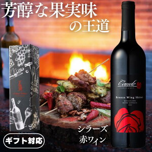 yKiz̖킢߂ZȐԃC G'dayWine jX^[ JEh uY EBO V[Y [ ԃC h t{fB I[XgA 750ml 1{ Mtg{bNX ]  j