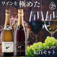 【全品ポイント10倍｜9/24まで】ノンアル紅白2本セット ワインを極めたノンアル 赤白飲み比べセット！ス…
