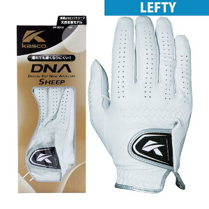 LXR@KASCO@DNA \tgV[v O[u teB