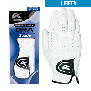 LXR@KASCO@DNA O[u teB