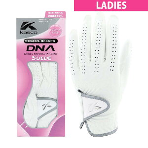 LXR@KASCO@DNA O[u@fBX