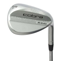 楽天市場】ダイナミックゴールド105 r300 ウェッジ用の通販