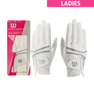 EC\@Wilson@nCp[ptH[}X O[u p@fBX