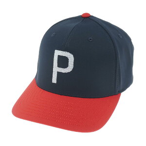 v[}@PUMA@CRAFTED P Lbv