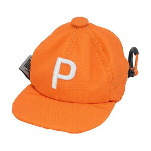 v[}@PUMA@PLbvANZT[P[X