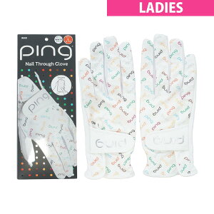 s@PING@lCX[O[u p@fBX