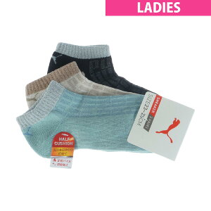 v[}@PUMA@AN\bNX 3Zbg@fBX