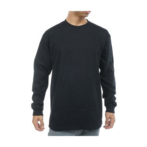 �w�C���Y�@Hanes�@BEEFY-T �傫���T�C�Y �N���[�l�b�N����T�V���c