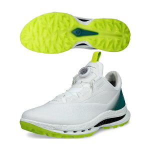 ecco�@�G�R�[�@BIOM C5 BOA �V���[�Y