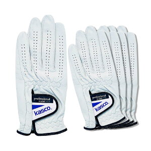 LXR@KASCO@PT-300 pbP[WX O[u 5Zbg