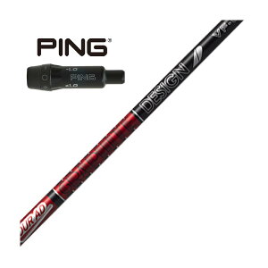 Ot@CgfUC@Tour AD@shCo[p Tour AD VF X[utVtg