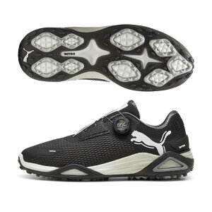 v[}@PUMA@VhELbg jg fBXN V[Y