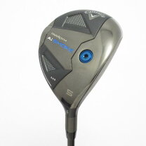 楽天市場】パラダイム トリプルダイヤモンド（番手5W）の通販