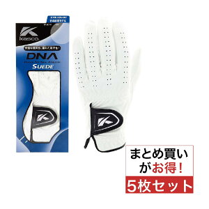 LXR@KASCO@DNA O[u 5Zbg