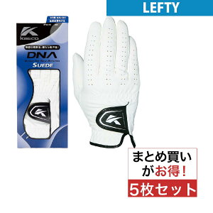 LXR@KASCO@DNA O[u teB 5Zbg