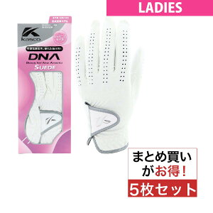 LXR@KASCO@DNA O[u 5Zbg@fBX