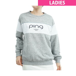 s@PING@уXEFbgvI[o[@fBX