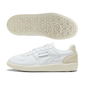 v[}@PUMA@v[}×RC p G V[Y