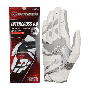 e[[Ch@Taylor Made@C^[NX 6.0 O[u