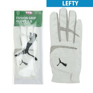 v[}@PUMA@t[W Obv 3.0 O[u teB