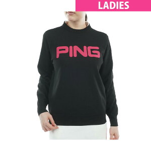 s@PING@10J[ N[lbNZ[^[@fBX