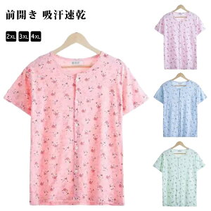 fB[X @ TVc  OJ 씧 EȒP  ʋCQ  VvfUC ێCi[ p 