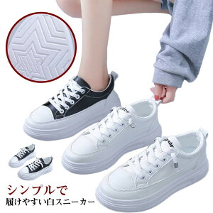 V[Y ~ fB[X ʋ Xj[J[ C Xj[J[ U[V[Y ʊw  ₷ U[Xj[J[ 4cm WjA y ʊwC  r zCgXj[J[