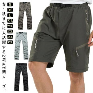 tH oRY{fB[X J[Spc z Opc 2way Y AEghApc   oRY{Y  V[gpc t