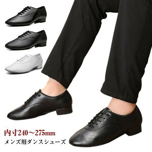 Ќ_X Gi Y _XV[Y  __X C 2.5cm _Xpi _Xߑ U[V[Y ubN  [q[ V[Y l v[g Mtg j