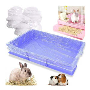  gC gCV[c gCV[g p ybgV[c gC L ybgpi gCpi V[g ybg |p ybgpgCtB gCpV[g V[c