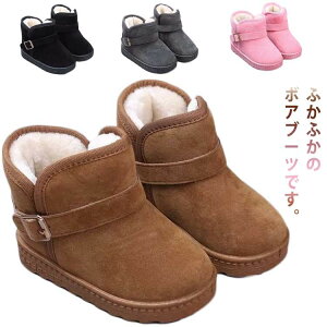 V[g j̎q t@[ ؂ xr[[gu[c s V[gu[c h ɂȂ h EhgD tFCNt@[ g ̎q ig ł