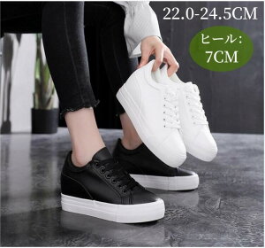 [XAbv Xj[J[ Cq[V[Y  fB[X V[NbgV[Y ʋ ʊw l w EH[LOV[Y y   ₷ 7cmq[ gup