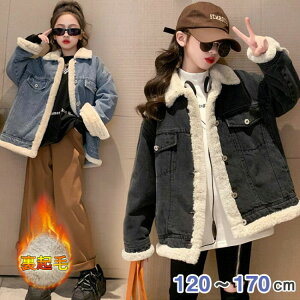 fjt@[R[g qR[g t@[R[g fjWPbg fjR[g {A W[W tFCNt@[ q ̎q  LbY WjA ӂӂ  q AE^[