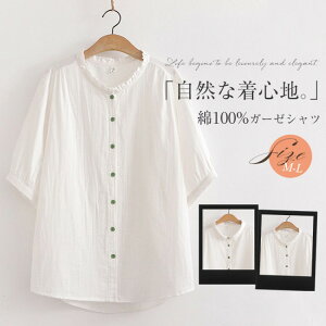 K[[Vc 100 VcuEX fB[X ܕ t ܂ Vc uEX gbvX JWA 傫TCY ̌^Jo[  ꂢ Vv l  ItBX