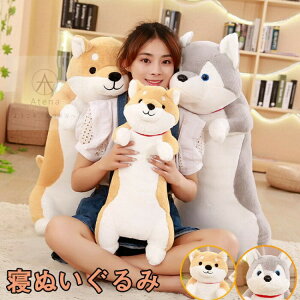 Qʂ S2 60cm 80cm 100cm     Ck ʂ   킢 rbO v[g  q xbh G j  NX}X a