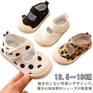 C L qC Xb| 㗚 w ʉ ǂ WbNe[v y ̎q qE hbg LbY  wZ ct ۈ牀 ʊw  XN[V[Y