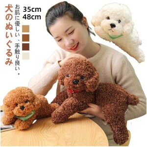  ʂ v[h gCv[h v~Aps[ v[g 킢 G Mtg CȎe a v[h VR