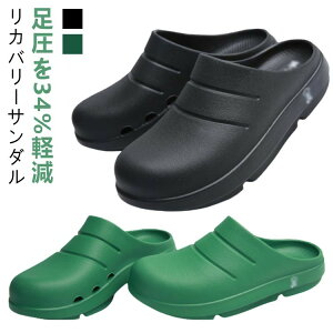 EVA 34%y Ռz Xbp jp NT_ K A[`T|[g Y fB[X ʋC lԍHw y fB[XV[Y Snǂ Jo[T_