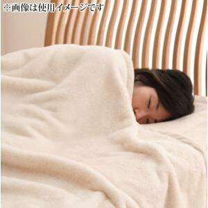 ѕz _u ~  ~p g zCg 킢 ^IPbg q Pbg | Ƃ }V}   킢 _uTCY |zc |zc   uPbg 