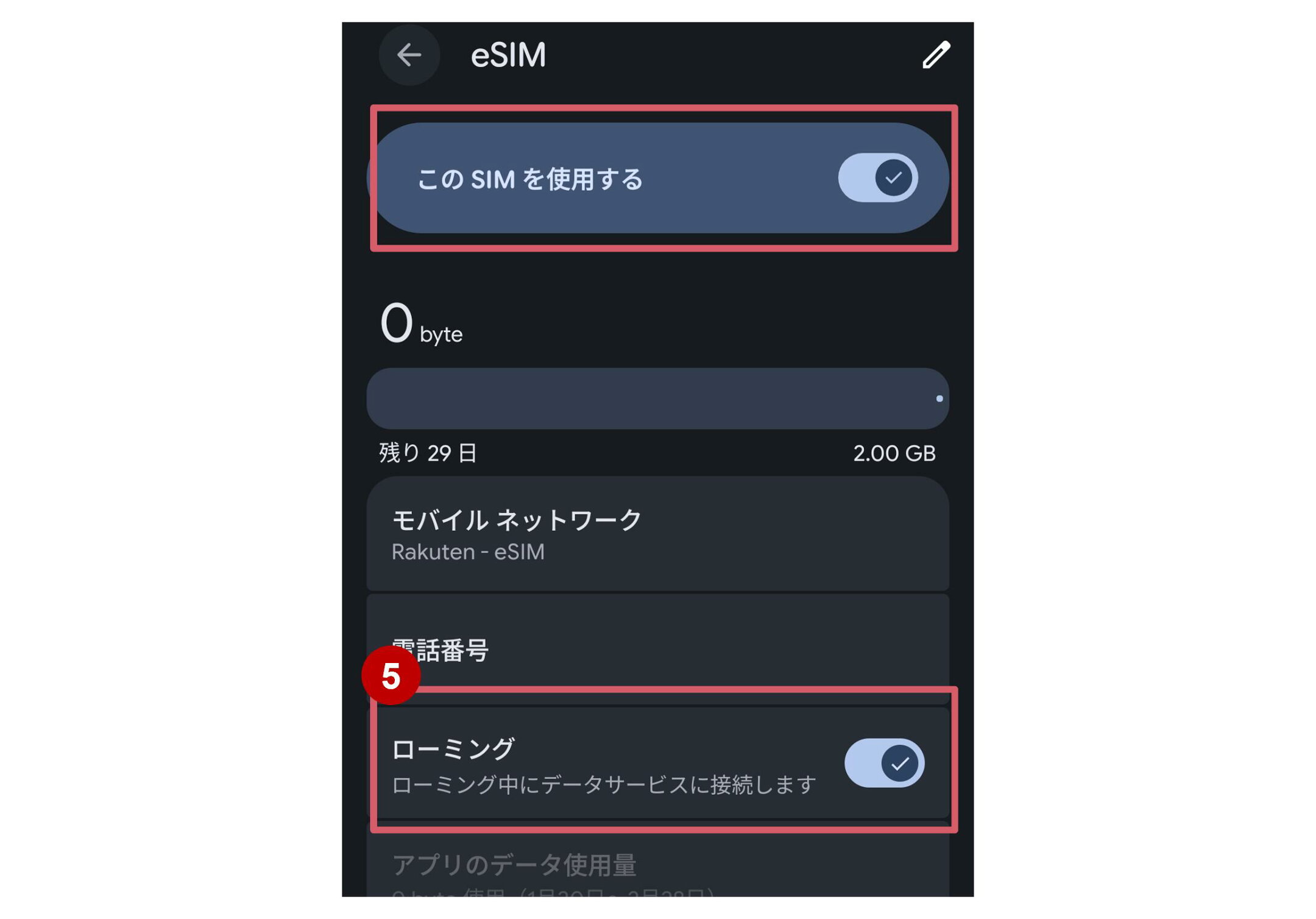 ⑤データローミングをオン