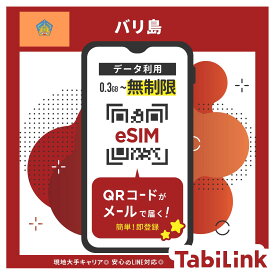 【バリ島/インドネシア eSIM 無制限】1日～30日まで選べるプラン！ 簡単設定 4G 高速データ通信 バリ旅行 インドネシア旅行 バリ島 有効期限90日以内 LINEで対応可能！