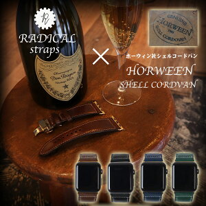 VFR[ho z[EB z[EBVFR[ho X}[gEHb` smart smartwatch {@@߁@applewatch apple watch series uh@oh 44 40 se XeX P[X  U