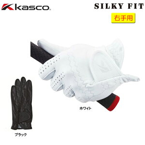 y [ցzirvjyEpzLXR kasco VL[tBbg sAG`IsAV[v YStO[uyGF-17251R teBpzVRv