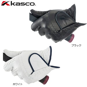 y [ցzirvjLXR kasco VL[tBbg sAG`IsAV[v YStO[uyLfbgTCYzGF-23302 VRv