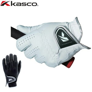 y [ցzLXR kasco DNA@V[v rvStO[u GF-2012