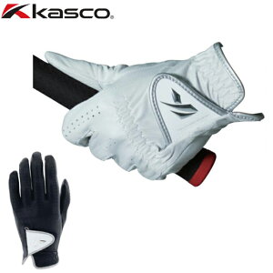 y [ցzLXR kasco DNA V[v rvfBX StO[u GF-2012L